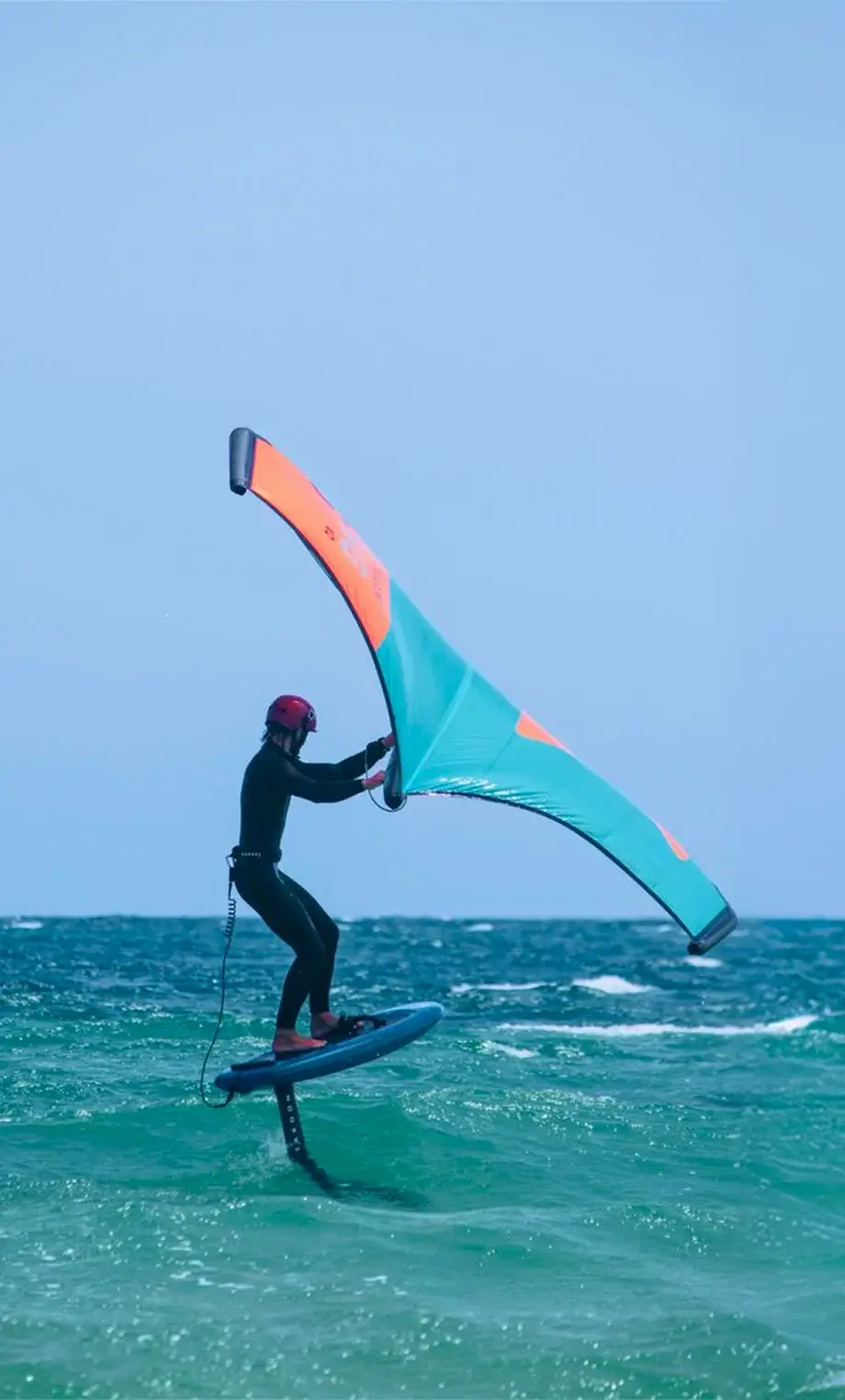 wing kite 1